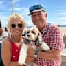 House sit pet parent - You’ll want to stay here ! Beachfront beautiful home - super cool dog