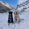House sit pet parent - Cozy Salt Lake City Stay with Two Lovable Dogs