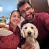 House sit pet parent - Looking for a lovely pet sitter for our Milo