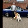 House sit pet parent - Beautiful Stratford upon Avon stay, Warwickshire countryside