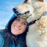 House sit pet parent - Gorgeous Doggy Needing Love & Walks in the Beautiful Sussex Countryside.