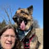 House sit pet parent - Beautiful old farmhouse with 4 incredible pets!