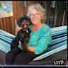 House sit pet parent - Beautiful, spacious desert home in sunny Palm Springs. Mini Bernedoodle love.