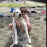 House sit pet parent - Cornish house not far from the sea!