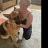 House sit pet parent - Lovely German Shepherd in friendly Norfolk village close to the pub.