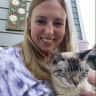 House sit pet parent - Cozy treehouse condo in Boulder, Colorado. Stay and relax with the sweetest cat!