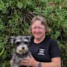 House sit pet parent - Coastal Northland in NZ with 2 small dogs