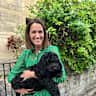 House sit pet parent - Dog sitting in the beautiful Bath countryside