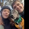 House sit pet parent - Keep our rescue greyhound company in the suburbs of Sheffield!