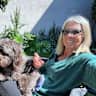 House sit pet parent - Schnoodle looking For Pet Sitter