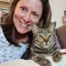 House sit pet parent - One cute cat looking for a sitter who can roll with his personality