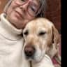 House sit pet parent - A beautiful house in north Hampshire with 2 cats and a loving Labrador