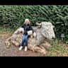 House sit pet parent - Beautiful home in the country, near to the sea! With my fabulous friendly pups!