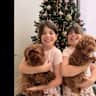 House sit pet parent - First overseas trip loving sitter needed for our two tiny Cavoodle girls