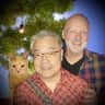 House sit pet parent - Cat sitter wanted for Bob the ginger in downtown Palm Springs, California, USA