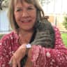 House sit pet parent - Beautiful Gated Community in Lake Heritage!