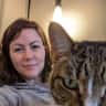 House sit pet parent - Black Hills house with a sweet tabby who loves company