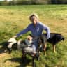 House sit pet parent - Lovely family home in rural Hampshire