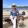 House sit pet parent - Need pet-sitter for beautiful, sociable Sheltie in beach area