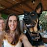 House sit pet parent - Playful Bruna, 4 lovely cats & peaceful countryside in Mallorca.