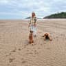 House sit pet parent - Sitter required in beautiful Devon country barn for 2 fun dogs and a lazy cat!