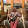 House sit pet parent - Pet and house sitting in rural Shropshire