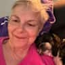 House sit pet parent - Four Adorable Needy Shih Tzu’s who’s Family is running away for Christmas Cheers