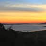 House sit pet parent - Seeking  Pet/house Sitter needed in Beautiful San Francisco Bay Area