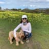 House sit pet parent - Sitter needed for adorable mini labradoodle in beautiful SF Bay Area family home