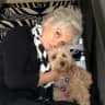 House sit pet parent - Come explore NYC and enjoy my darling Marley and Ginger.