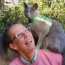 House sit pet parent - Sociable sitter for fun cat in a Geneva center apartment with a large balcony