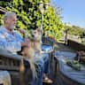 House sit pet parent - Enjoy an ocean view, quiet home. Jack needs short potty  walks.