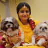 House sit pet parent - Pet Paradise in Jaipur: Pampered Pooches Coco & Caramel Seek Fun-Loving Sitter!