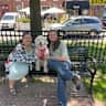 House sit pet parent - Cute Goldendoodle in the heart of Baltimore