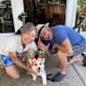 House sit pet parent - House & corgi in Yeronga