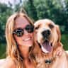 House sit pet parent - Cuddly and goofy Golden Retriever in a cozy condo in Bucktown, Chicago
