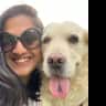 House sit pet parent - A warm home to stay & one golden to sit