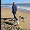 House sit pet parent - Come & look after Daphne our Wirehaired fox terrier by the beach.