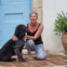 House sit pet parent - Renovated house with pool  near to Albi looking after a gorgeous Labradoodle.