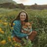 House sit pet parent - Corgi in Hawaii Kai