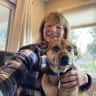House sit pet parent - Downtown Livermore Wine Country home + one medium dog