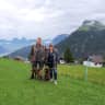 House sit pet parent - We seek a house sitter who takes care of our dogs and cats.