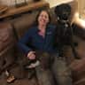 House sit pet parent - Two friendly pointer-cross dogs in a lovely old Surrey farmhouse