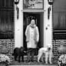 House sit pet parent - Peaceful house sit with animals on a beautiful heritage estate near Utrecht