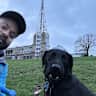 House sit pet parent - Loving housesitter/s wanted for black Lab Apollo in his warm SE London home