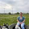 House sit pet parent - Trimley St Mary, Suffolk Escape: Coastal Beauty & 3 Lovely Rescue Dogs