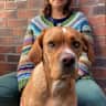 House sit pet parent - Sit in lovely Victorian terrace close to parks and North Sea beaches