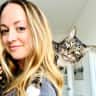 House sit pet parent - Cat sitter needed for Houston, Texas!