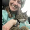 House sit pet parent - North Dallas home with two low maintenance kitties!