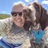 House sit pet parent - Mill Valley Home / Winslow the Italian Spinone + two guinea pigs
